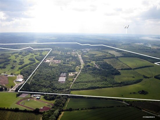 The UK Nightingale population has declined by 90% in 50 years! 

10,000 signatures are needed on this petition to #SaveLodgeHill - a stronghold for Nightingales. 

If YOU live in UK please SIGN NOW. 

Already SIGNED? - PLEASE RT to reach others 👇✍️
e-activist.com/page/21320/act…