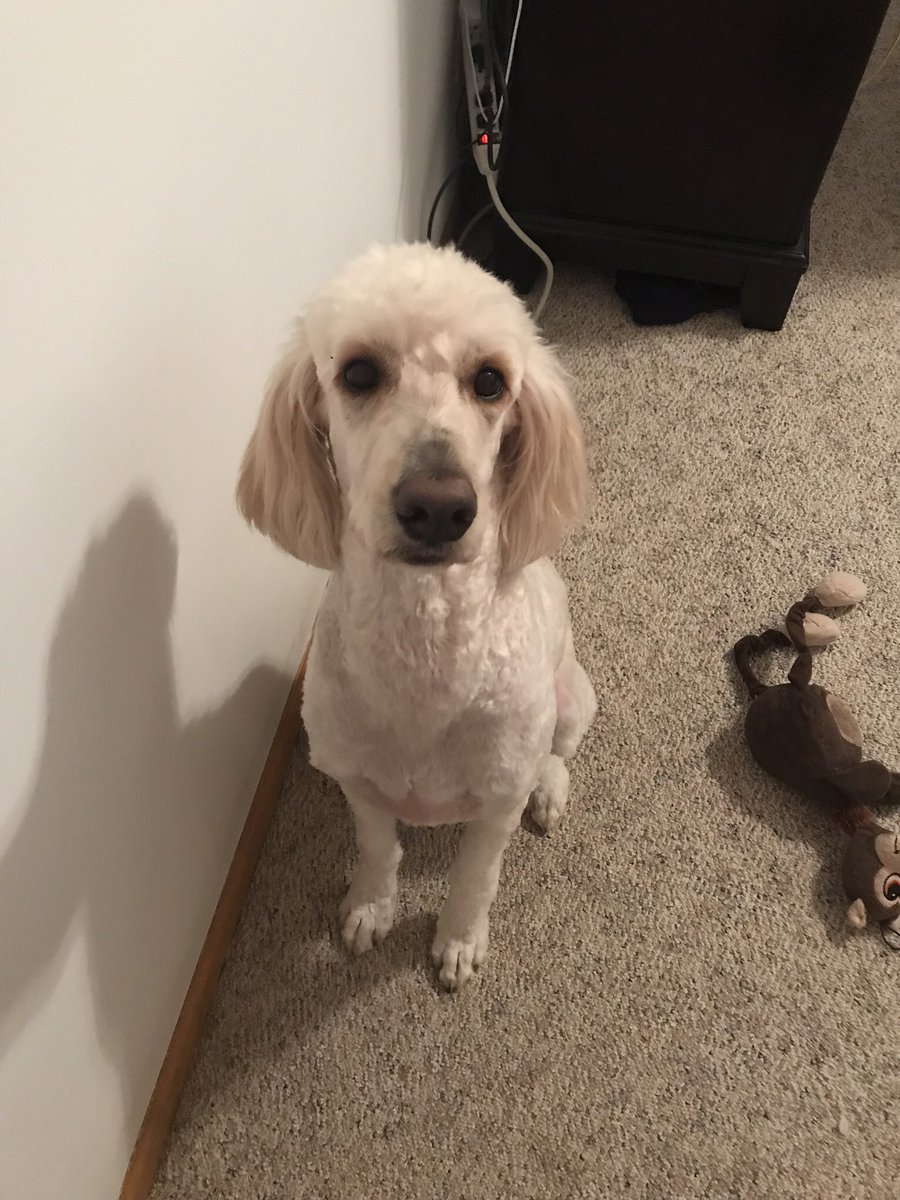 Sam Douglas tweet media