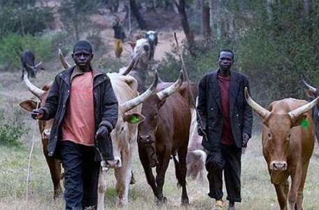 anotherloaded's tweet image. Fulani Herdsmen Attack Villages in Plateau kill 86,burn 50 Houses, 2 Cars and 15 Motorcycle anotherloaded.com/fulani-herdsme…