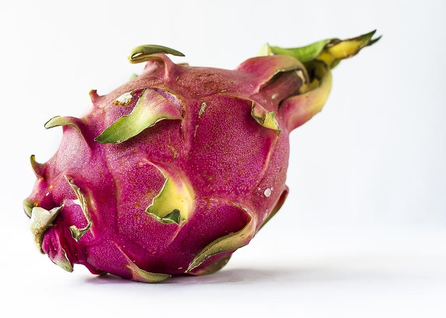 austinjtruex's tweet photo. If I were a fruit, I'd be a dragon fruit because I seem exotic, but I'm really not. 
🐉+🍎=😎 https://t.co/U76GJnj24j