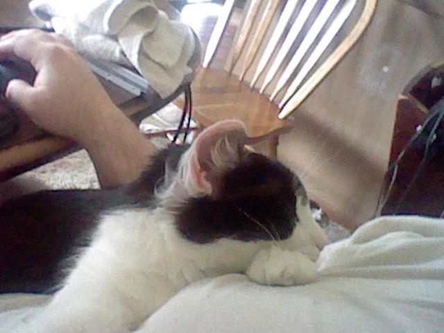 Daniel Sullenberger tweet media