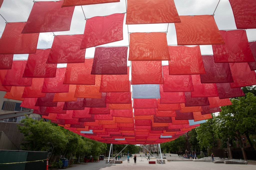 Harvard University On Twitter Under This New Canopy In The