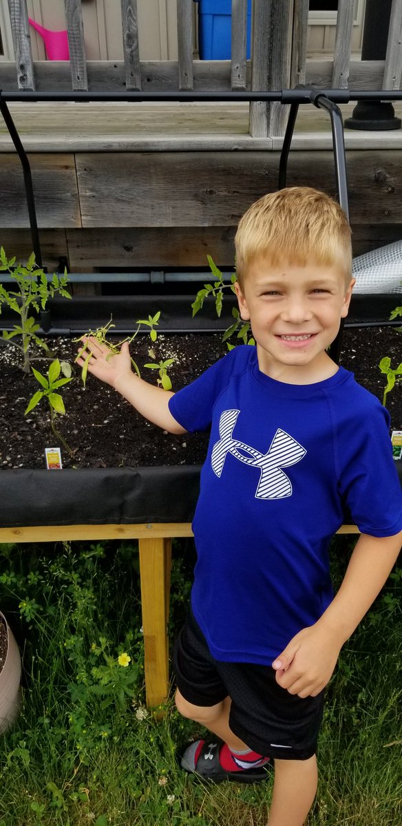 LisaHogan2222's tweet photo. My little gardener is so proud of the tomatoes, green beans, cucumbers and zuchinis that have started budding and growing. Hes been working hard as our water boy. "Mom, I cant wait for the brussel sprouts to start growing" #SaidNoKidEver #ExceptMine https://t.co/9UcEzisAk5