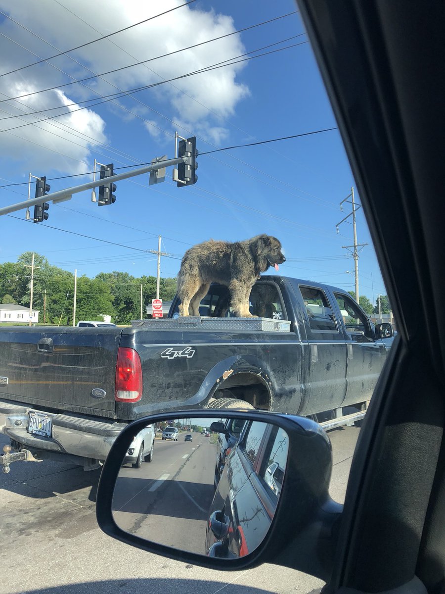 Greg Keys tweet media