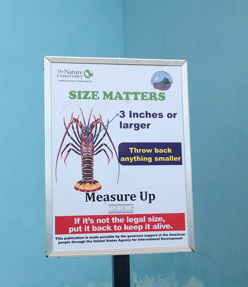 StCathLsdp's tweet photo. It does matter #size https://t.co/o4MylIG2Dq