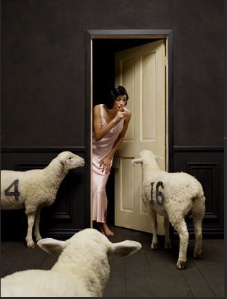 Shhh... I have to sleep. I have to dream.