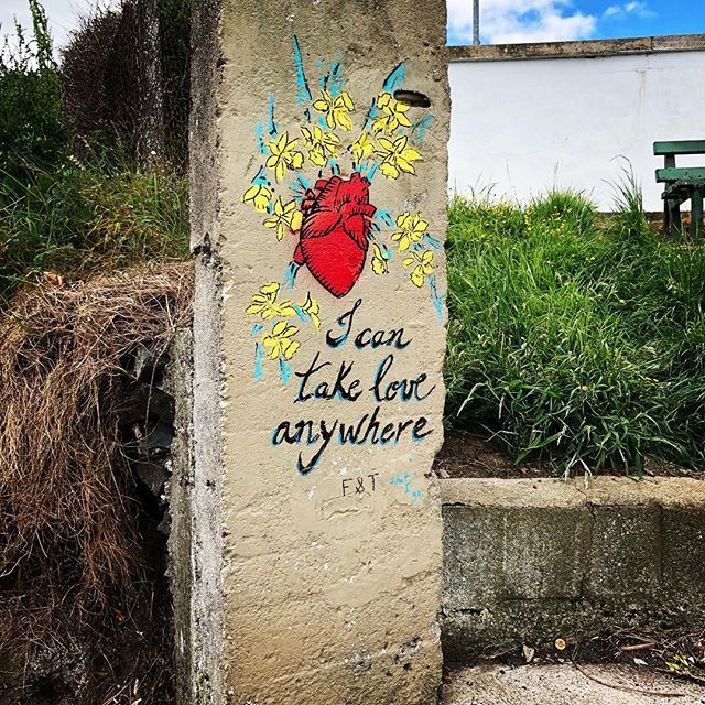 nikitailored's tweet photo. Love this find on my walk from Bray to Greystones last week ❤️ ——————————————————————
#bray #greystones #cliffwalk #ireland #travel #nature #hikingadventures https://t.co/8ZpXNCUE1n https://t.co/f4J0InPHt7