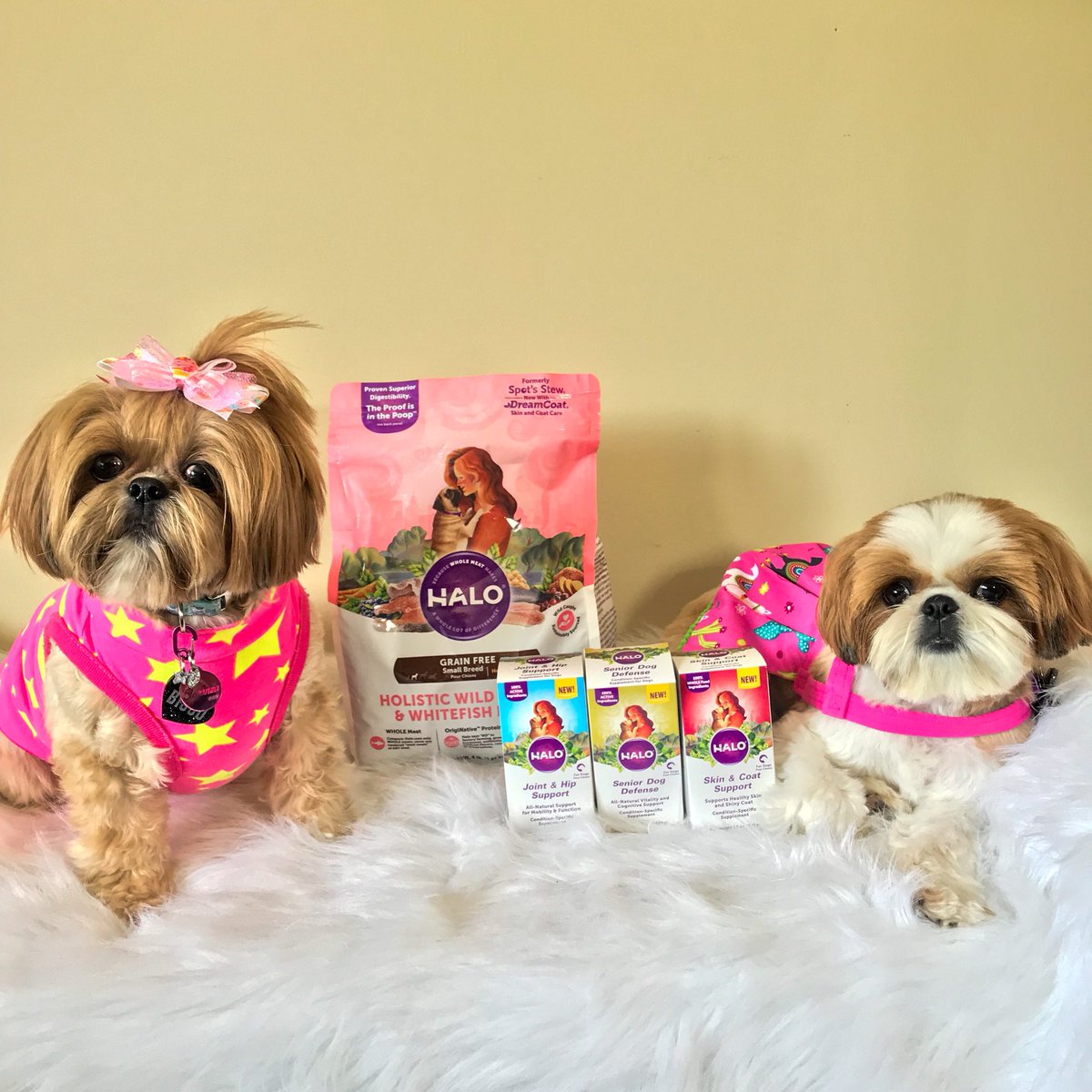 fluffdogcrew's tweet photo. We both can agree on our new found love affair with @halopets Not only is it delicious, but great for our health too! #halopets 💗💗 https://t.co/XLsIm2ByuG
