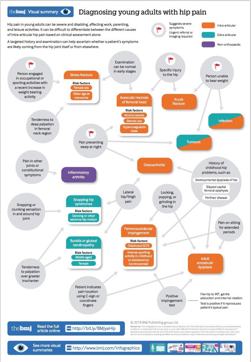 Really nice info graphic reflecting the complexity of diagnosis in young adults with hip pain