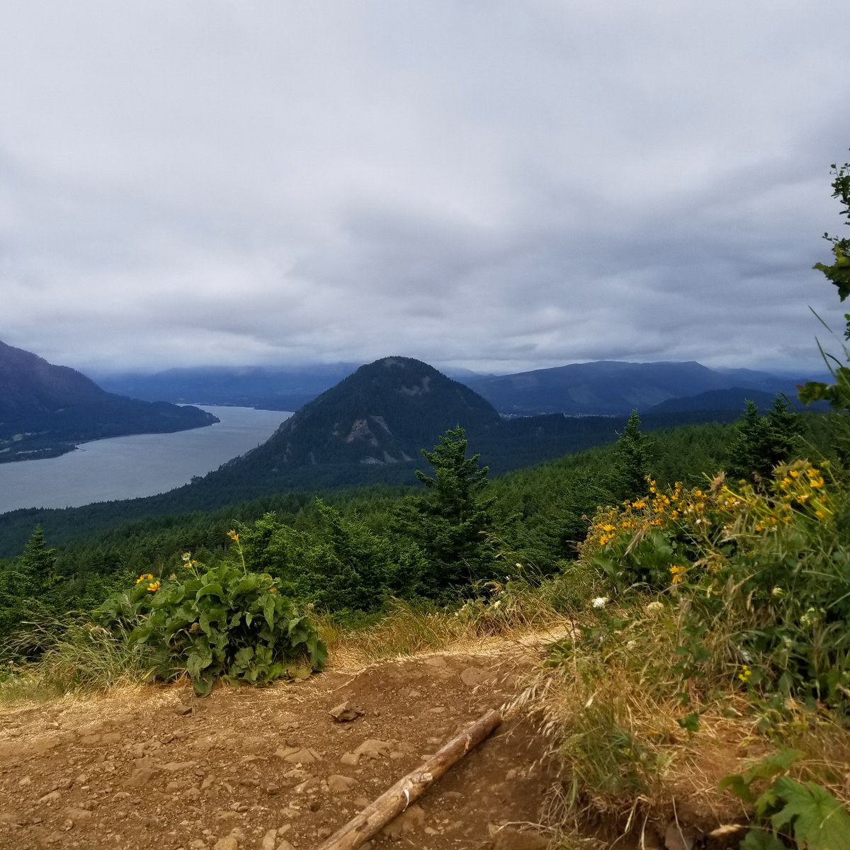 HT_escape's tweet image. The Dog Mountain hike in Washington is not for the weak! Read NEW blog post: bit.ly/2MTH03K