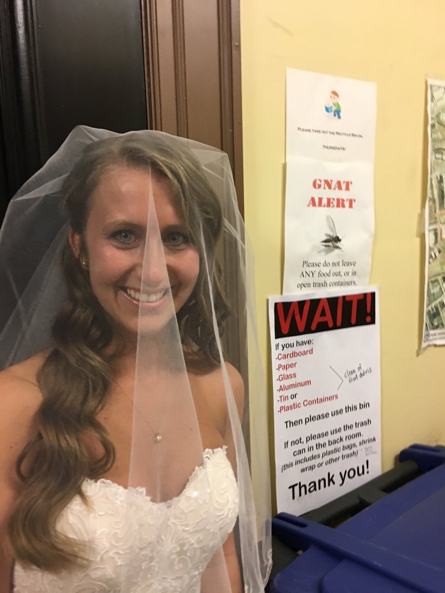 DavisJim's tweet image. Gnat Alert! #Weddingchymes