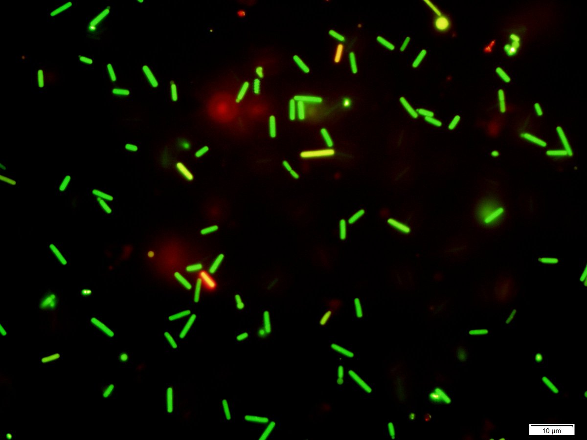 QuantalBioscience tweet media