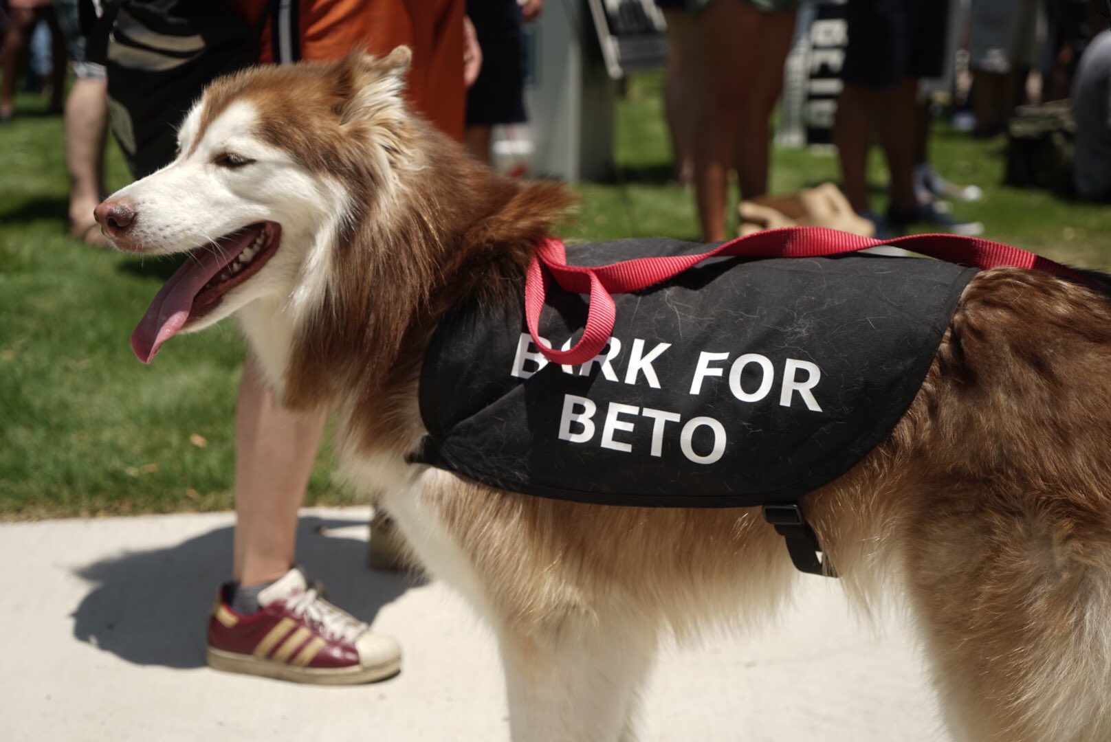 DgfTWsjV4AAAr9B?format=jpg&name=large