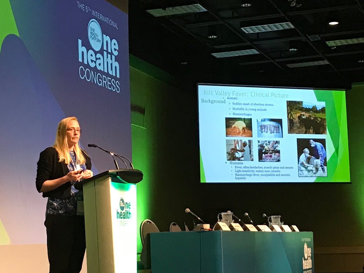 CleavelandSarah's tweet photo. Mindy Rostal โฆ@EcoHealthNYCโฉ and โฆ@IBAHCMโฉ talking about Rift Valley Fever, major impacts on health and livelihoods, current outbreaks in eastern and Southern Africa of great concern, importance of EcoHealth approach #iohc2018 https://t.co/BtBm5LCVKf