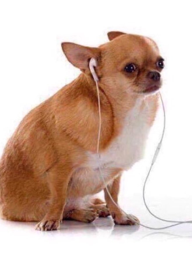Karla90L's tweet photo. Cuando estás deprimidx y pones música triste https://t.co/RnlePT2h2L