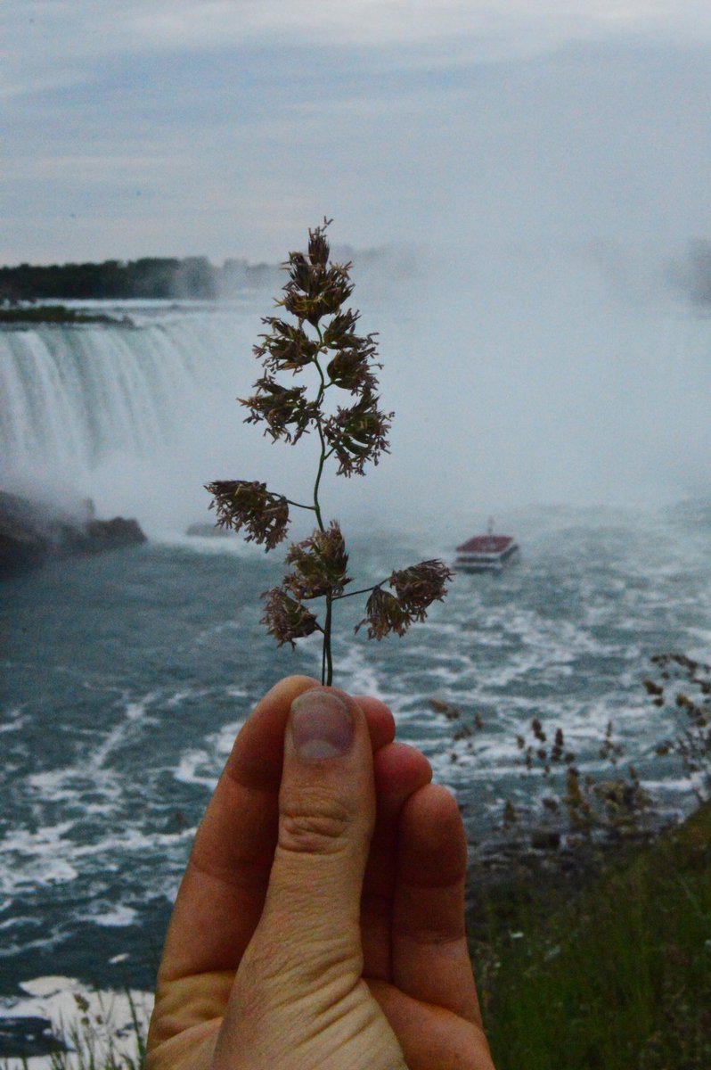 acaptureintime's tweet photo. Niagara Falls. A sight everyone should witness at least once in their lifetime. 🇨🇦 https://t.co/mYj3CAkp13