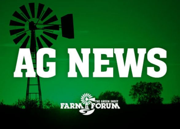 FarmForum1's tweet image. Congratulations to Billie Jo Lentz of #RollaND, one of three young women to receive a national Sheila Massey/Marilyn Spicher Memorial Scholarship for 2018 from #FAED and @NationalWIFE. farmforum.net/2018/06/21/nor…