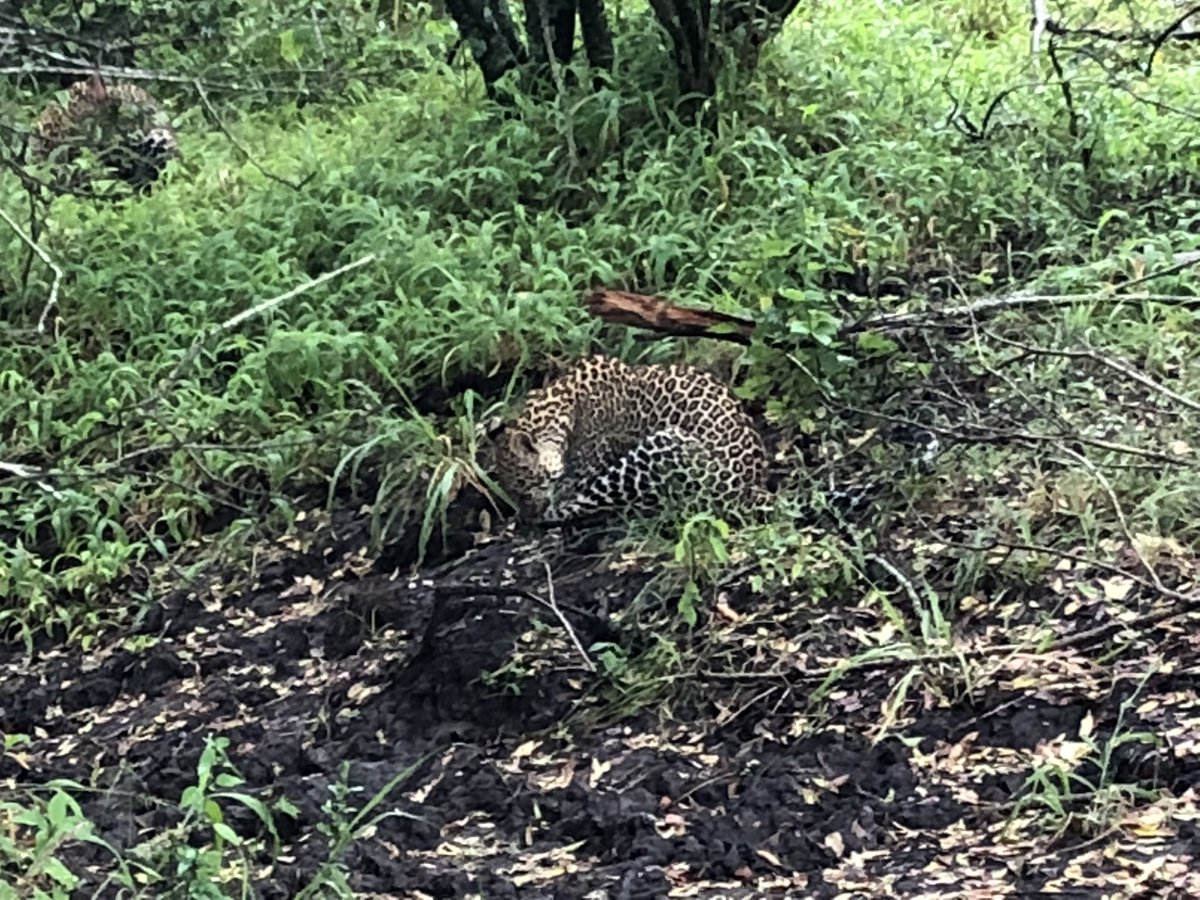 Safari in Kenya was amazing! Had a blast! #RPESummer18
