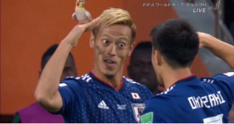 イノタプ Auf Twitter 本田圭佑 本田選手お茶目 イノタプ Auf Twitter 本田圭佑 本田選手お茶目