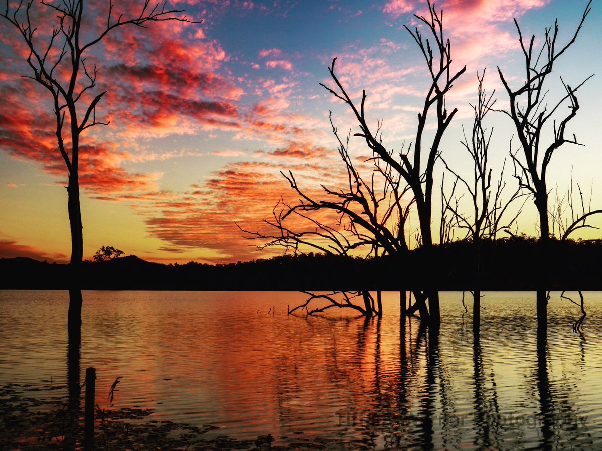 It was pretty spectacular down at #Wyaralongdam  last night! #sunset @igers_scenicrim @Queensland @StormHour #stormhour