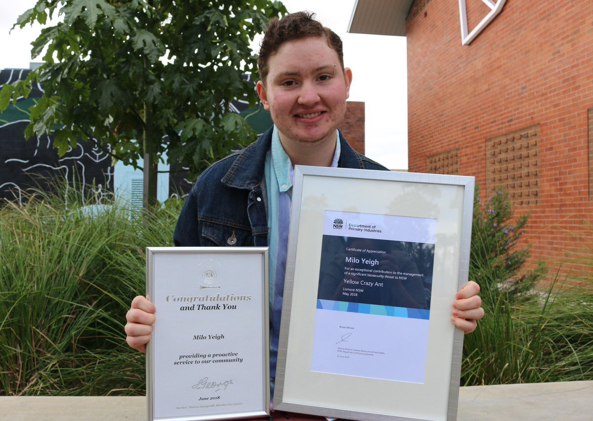 19-year-old Milo Yeigh with his @nswdpi and <a href="/ThomasGeorgeMP/">Thomas George</a> awards for detecting the yellow crazy ant in the Lismore CBD in northern NSW five weeks ago. <a href="/abcnews/">ABC News</a> <a href="/ABCRural/">ABC Rural</a> <a href="/abclandline/">ABC Landline</a> @ABCNorthCoast #biosecurity #environment #agchatoz #nswpol
