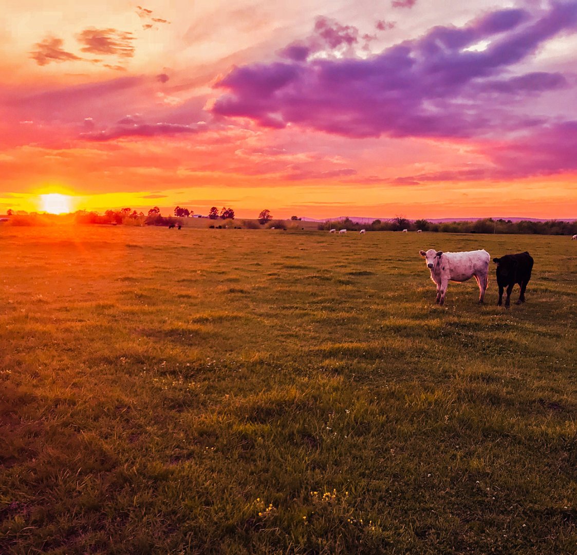 What does your view look like? Capture your Oklahoma sky this evening and share it with us! #oklahomaskies #sunset #homesweethome