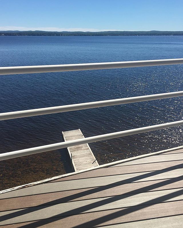 Salina Vanderhorn tweet media