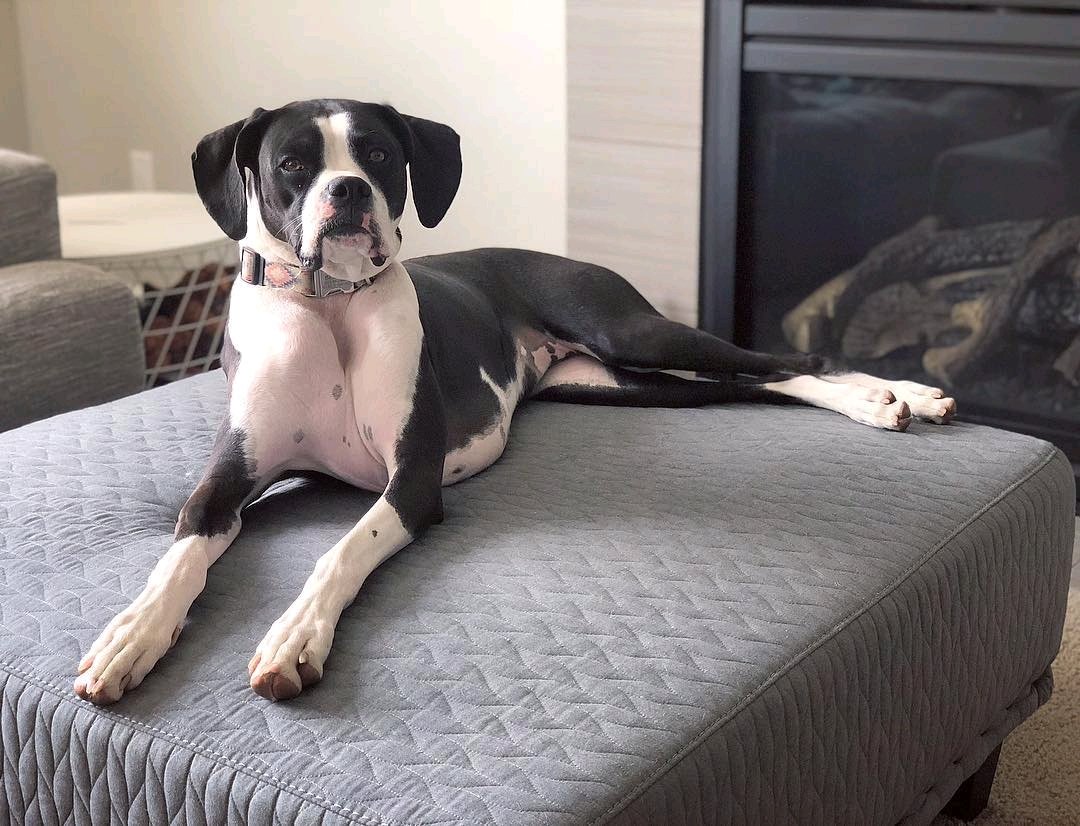 CO Walk of Hope tweet media