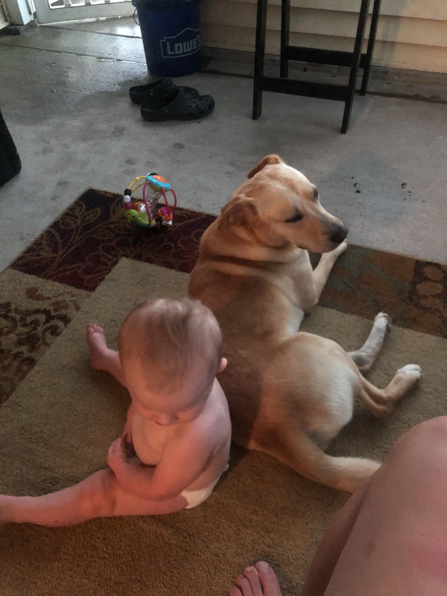BIG_AL91's tweet photo. Best guard dog ever!!! https://t.co/Hi0bvBSfGI