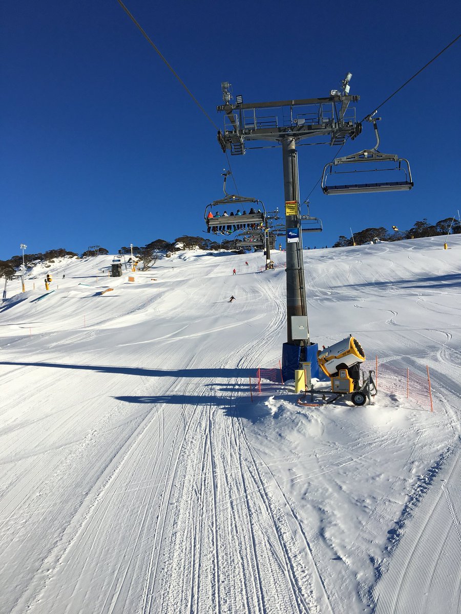 Will Wise tweet media