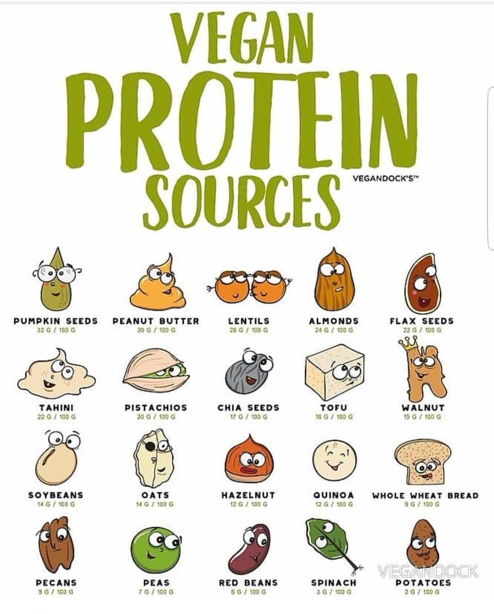 Mmmm #protein 💪🏽 Protein should be a staple in every meal to promote lean body mass- which in turn burns fat while you sit and read these posts  😈