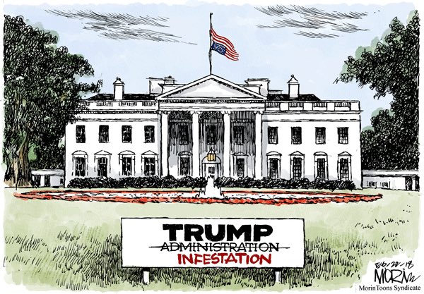 <a href="/realDonaldTrump/">Donald J. Trump</a> #TrumpInfestation