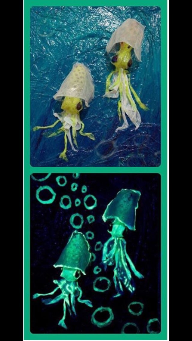 Stop by the Spadefish Gallery at <a href="/NCAquariumFF/">NC Aquarium at FF</a> and check out this beautiful #marinedebris inspired artwork by #WilmingtonNC artist Alexandra Morse. 20% of sales from this art goes to POP!💚 #art #oceanart <a href="/splash_trash_/">SplashTrash Intl.</a>  #splashtrash