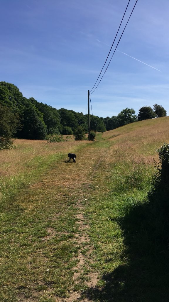 Tweston31's tweet photo. Very fortunate to live in this part of the world #millbrow #marplebridge #countrylife https://t.co/qzdVUA6qO5