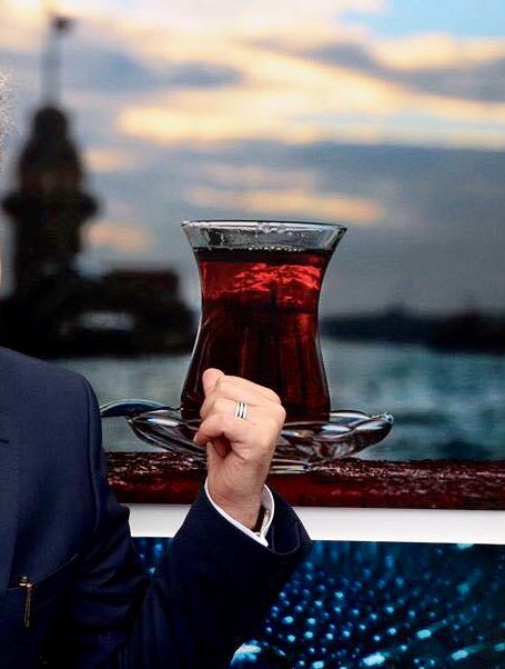 Okumayan bir insan, okumasını bilmeyen bir insandan daha iyi bir durumda sayılmaz. (Stephan Coven)