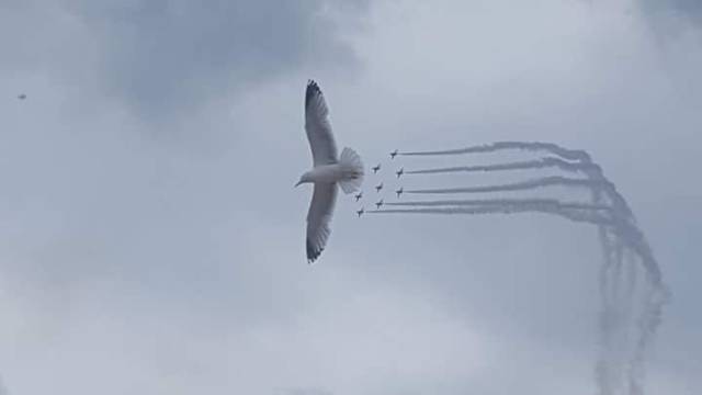 tuxboard's tweet image. Excellents timings sur ces clichés (50 photos) bit.ly/2Kdzlvx