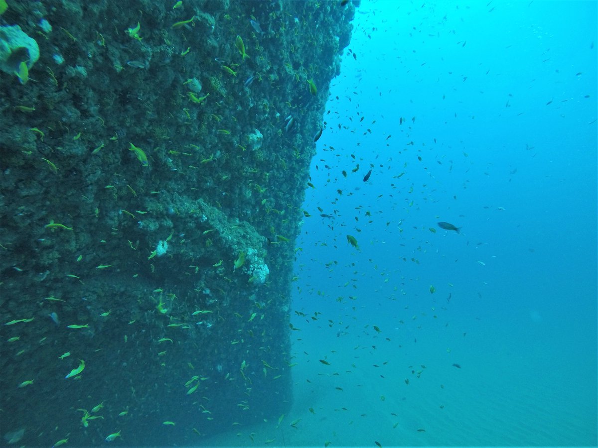 @africanwatersports tweet media