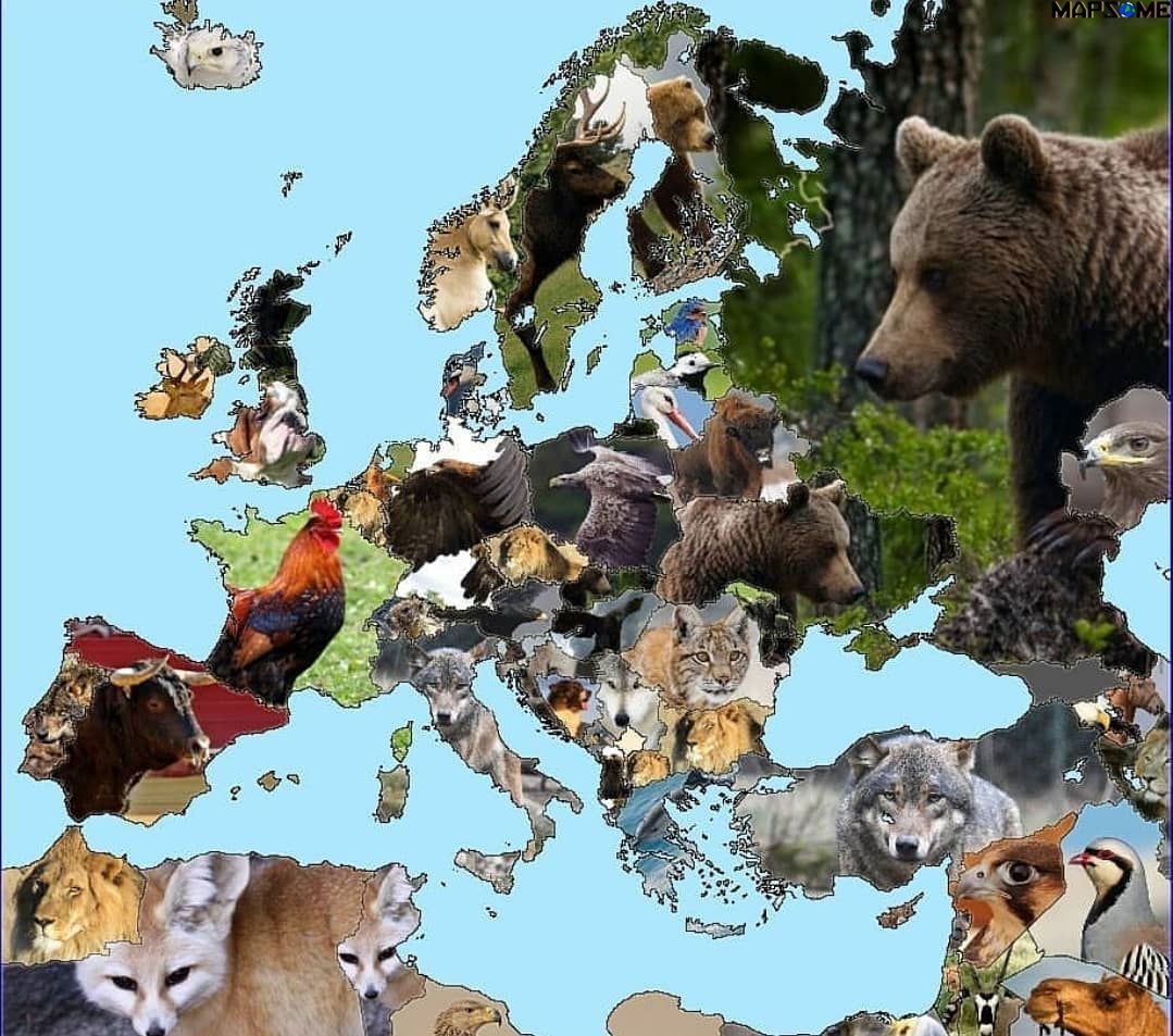 Beautiful Maps в Twitter: „National Animal in Europe /iILuqJtnAk“ / Twitter Beautiful Maps в Twitter: „National Animal in Europe /iILuqJtnAk“ / Twitter