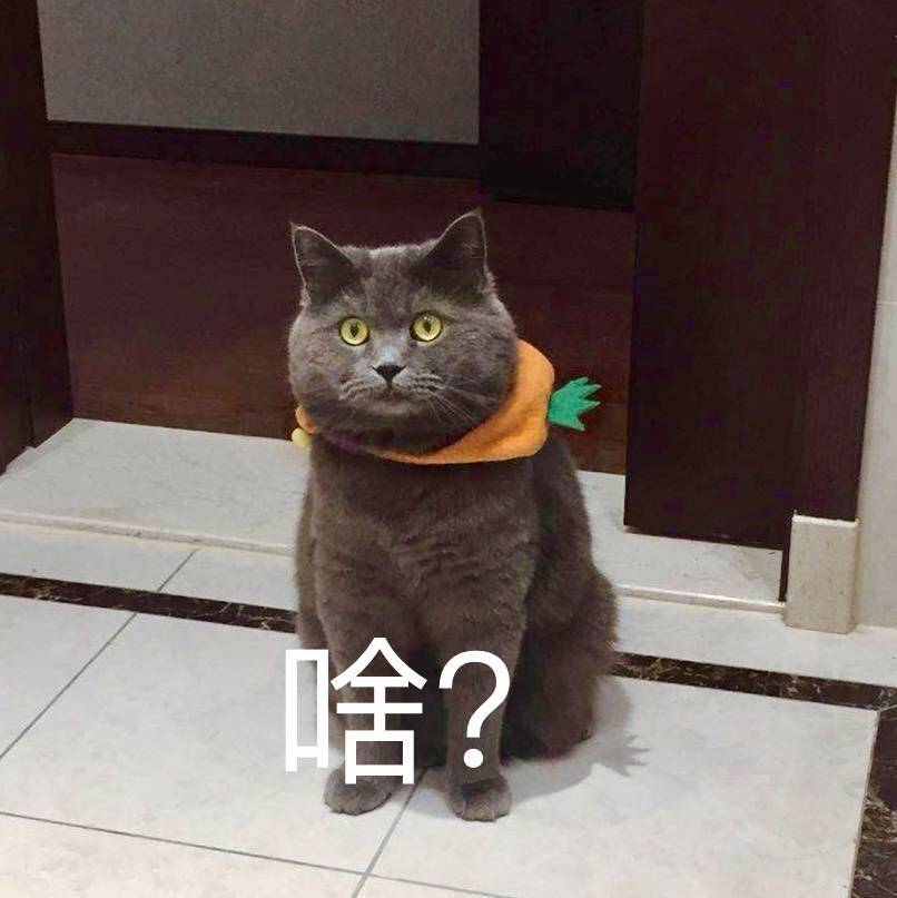 VisualizersL's tweet image. 推特也有僵尸粉？？