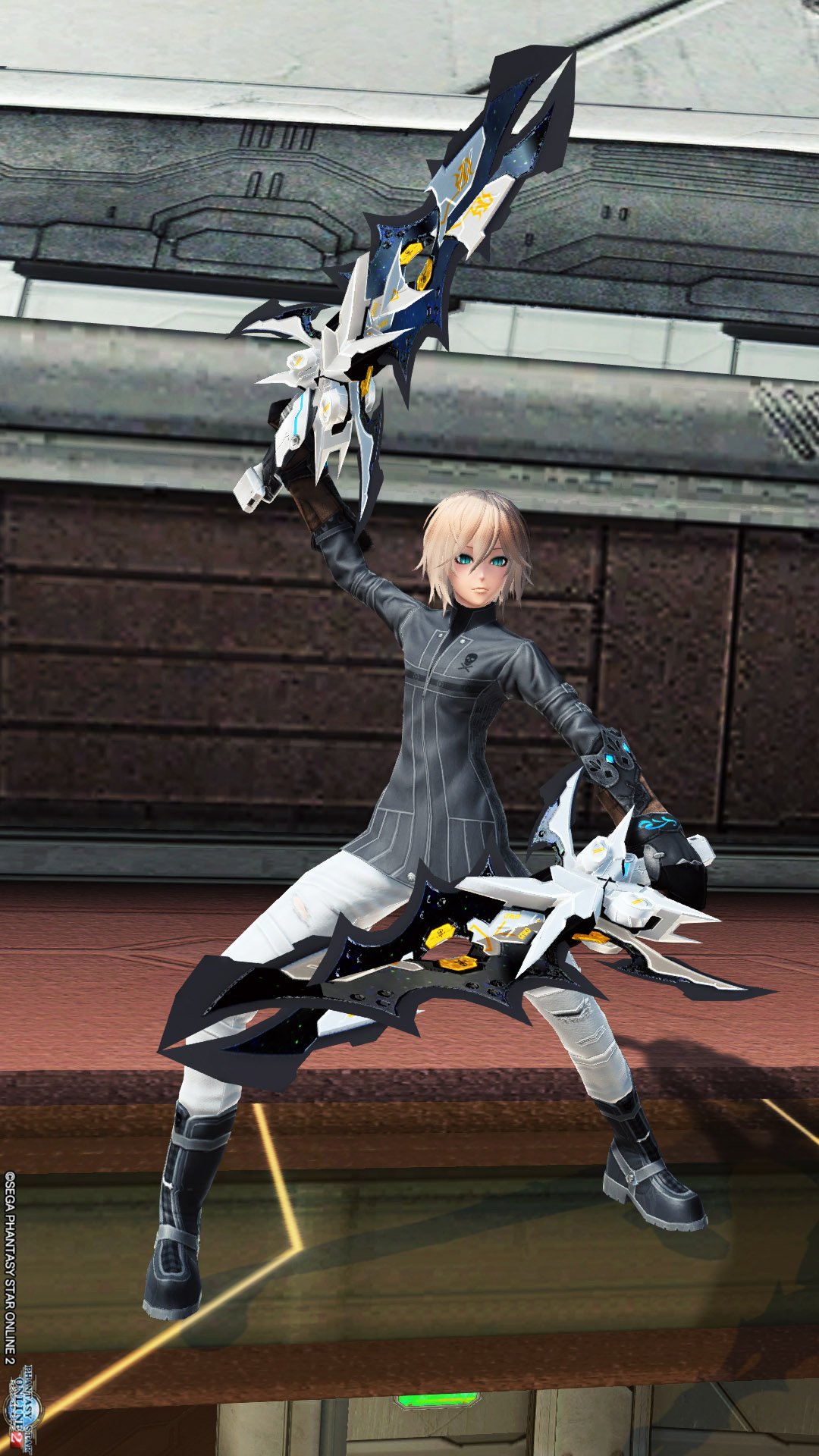 ナベリウスの妖精神 U Tvitteri アクセサリーでデュアルブレードつくりました W Pso2