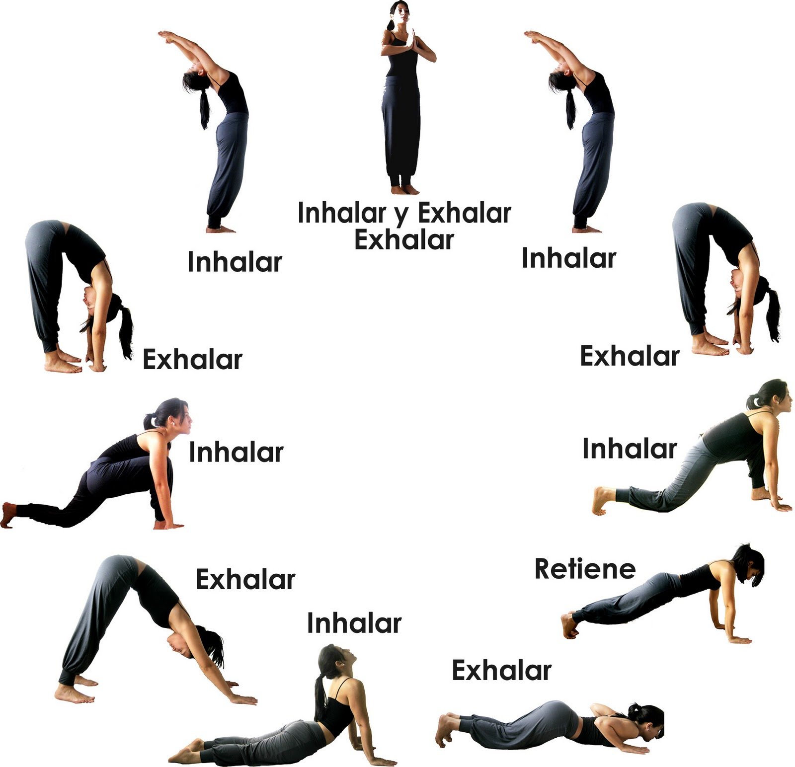 Indah on X: Different types of Yoga & exercise yoga & exercise