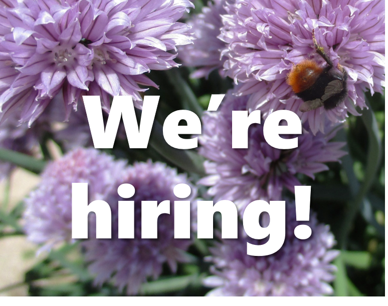 There's still time to apply to be our Community Garden Projects Coordinator! Closing next Monday 2nd July. Please share! goodmoves.org.uk/vacancy/a4s0n0…