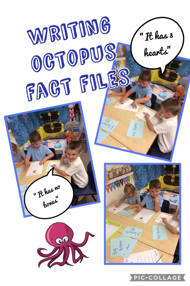 Highgateacademy's tweet photo. Class JM are investigating sea creatures this week. Today we researching octopuses and creating our own fact files about them. #ClassJM https://t.co/rbN0zb4mFS