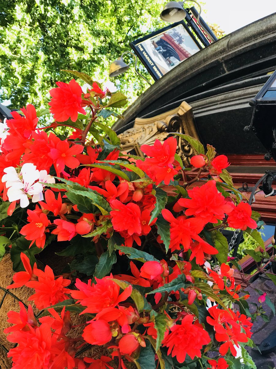 TheViaductEC1's tweet photo. What a lovely morning in the city! If you’re around come and enjoy one of our amazing GINfusions which are as colourful as those beautiful flowers! #gin #ginandtonic #ginfusions #ginmasters #citypub #onlyatfullers #sunnyday #sunnylondon https://t.co/ZvMbXkmZ85