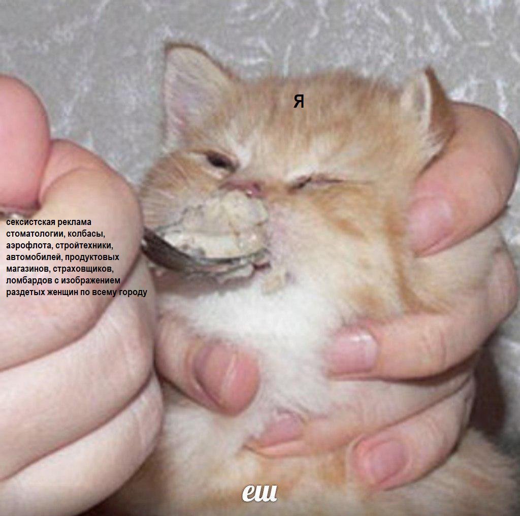 Dgh5elYWsAAxrRl.jpg