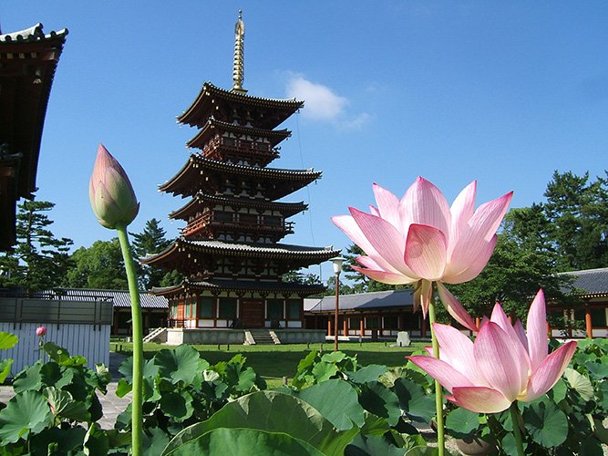 西の京ロータスロード 薬師寺 唐招提寺 喜光寺 西大寺 Togetter 西の京ロータスロード 薬師寺 唐招提寺 喜光寺 西大寺 Togetter