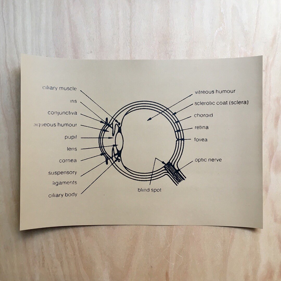 We don’t open on Mondays, our website however is always open, always ready. You can find this Eye print by @henrypressmcr on there. See you tomorrow! 👁