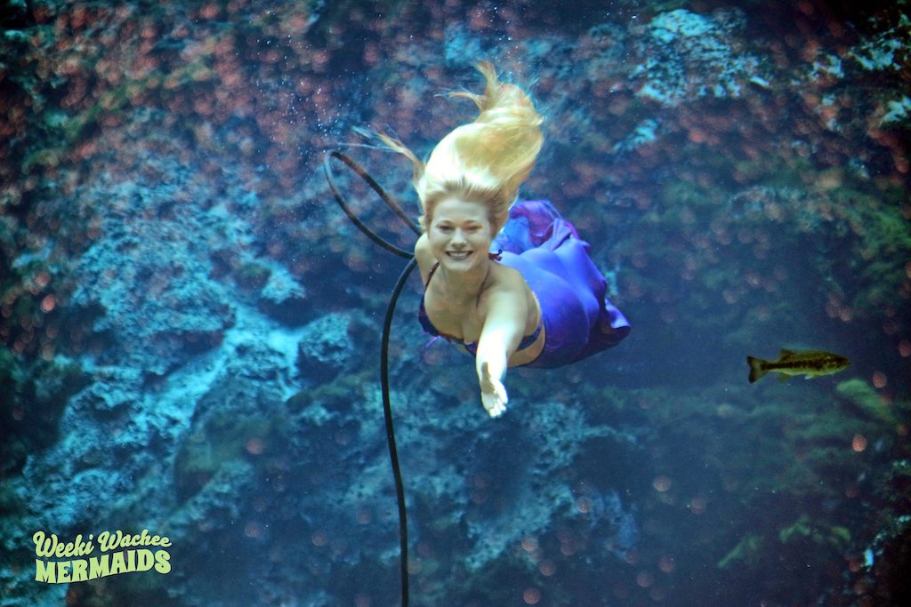 WeekiWacheeSpgs's tweet photo. Happy #MermaidMonday from Kelley. Have a wonderful week! #LoveWeeki #WeekiWachee #mermaid,#mermaidlife #florida https://t.co/Pt1KBukaFt