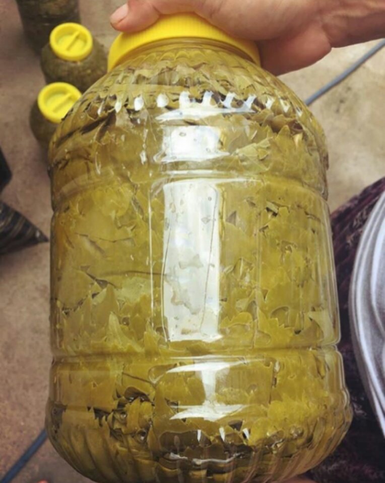 Bayram gecti,
Seçim bitti,
Salamurlar haala satışta👍💕
Sipariş için DM📝