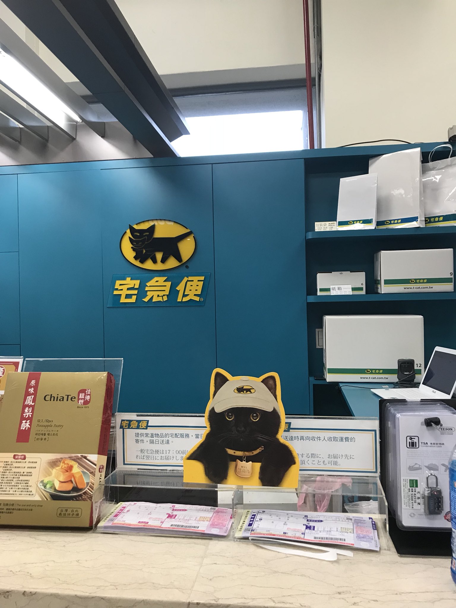 Maechin クロネコヤマト 実写バージョン 馬頭琴 美炎 パミールの花 クロネコヤマトさん T Co Dvtzgkednv Twitter Maechin クロネコヤマト 実写バージョン 馬頭琴 美炎 パミールの花 クロネコヤマトさん T Co Dvtzgkednv Twitter